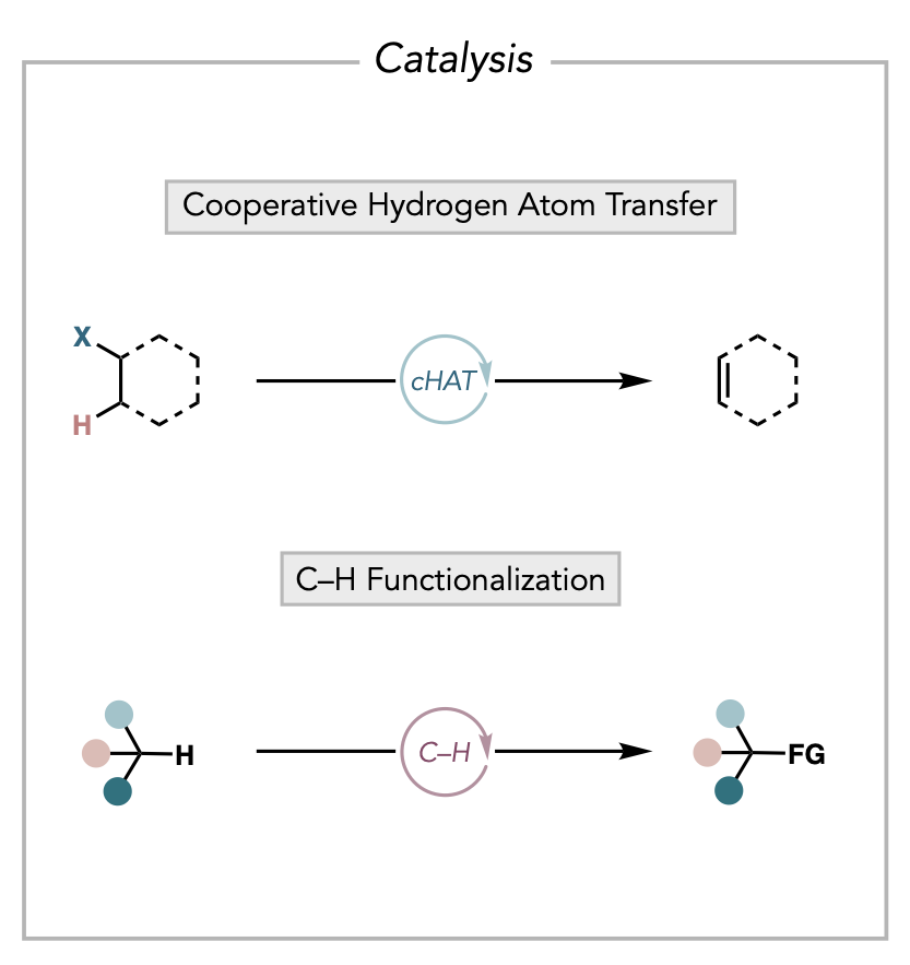 Catalysis